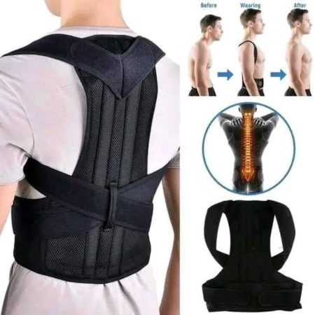 Back Support Belt